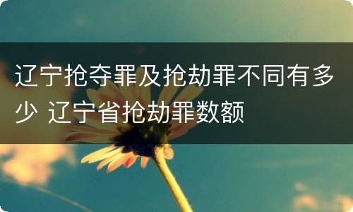 辽宁抢夺罪及抢劫罪不同有多少 辽宁省抢劫罪数额