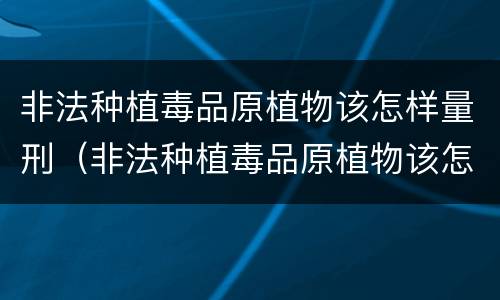非法种植毒品原植物该怎样量刑（非法种植毒品原植物该怎样量刑呢）