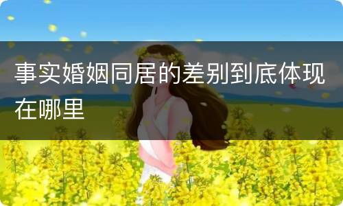 事实婚姻同居的差别到底体现在哪里