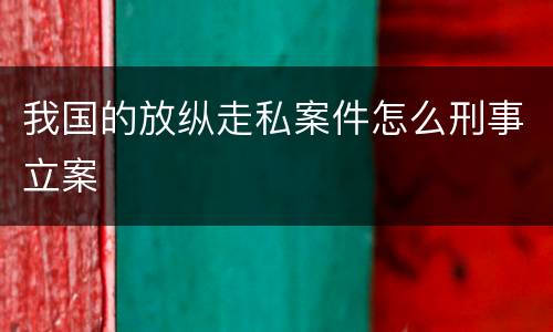 我国的放纵走私案件怎么刑事立案