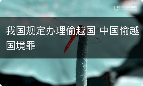 我国规定办理偷越国 中国偷越国境罪