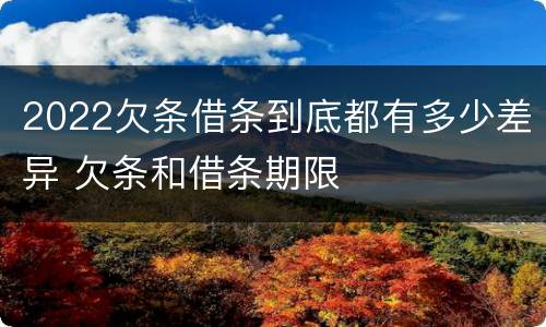 2022欠条借条到底都有多少差异 欠条和借条期限