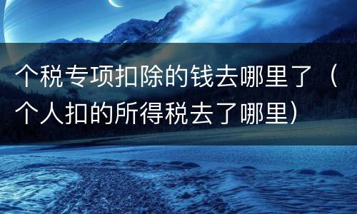 个税专项扣除的钱去哪里了（个人扣的所得税去了哪里）