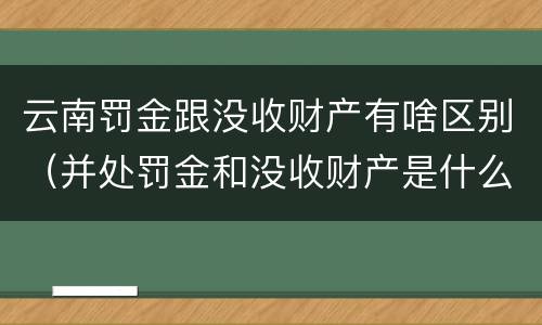 云南罚金跟没收财产有啥区别（并处罚金和没收财产是什么意思）
