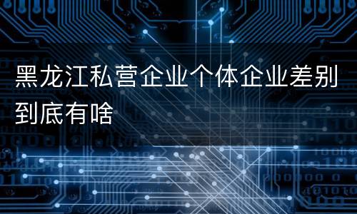 黑龙江私营企业个体企业差别到底有啥