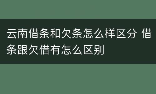 云南借条和欠条怎么样区分 借条跟欠借有怎么区别