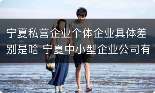 宁夏私营企业个体企业具体差别是啥 宁夏中小型企业公司有哪些