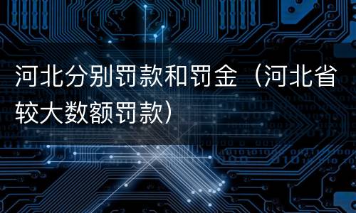 河北分别罚款和罚金（河北省较大数额罚款）