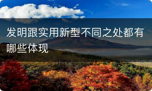 发明跟实用新型不同之处都有哪些体现