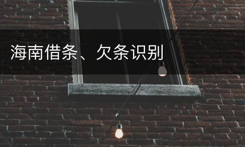 海南借条、欠条识别