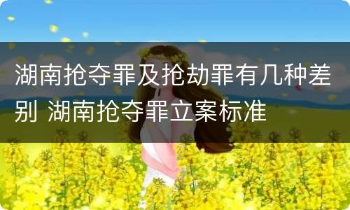 湖南抢夺罪及抢劫罪有几种差别 湖南抢夺罪立案标准