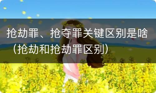 抢劫罪、抢夺罪关键区别是啥（抢劫和抢劫罪区别）
