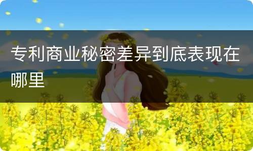 专利商业秘密差异到底表现在哪里