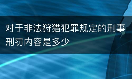 对于非法狩猎犯罪规定的刑事刑罚内容是多少