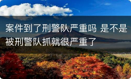 案件到了刑警队严重吗 是不是被刑警队抓就很严重了
