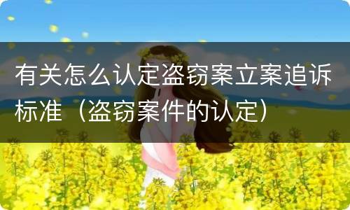 有关怎么认定盗窃案立案追诉标准（盗窃案件的认定）