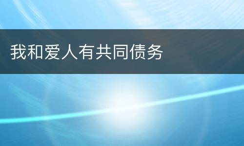 我和爱人有共同债务
