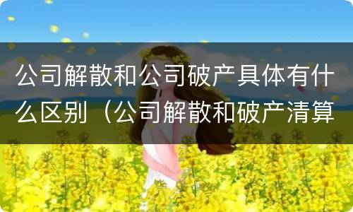 公司解散和公司破产具体有什么区别（公司解散和破产清算有什么区别）
