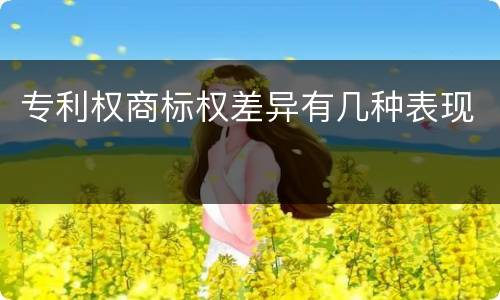 专利权商标权差异有几种表现