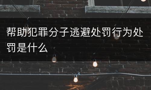 帮助犯罪分子逃避处罚行为处罚是什么
