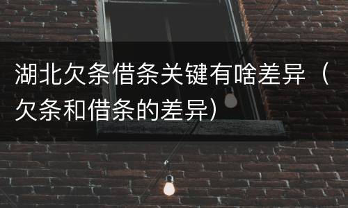 湖北欠条借条关键有啥差异（欠条和借条的差异）