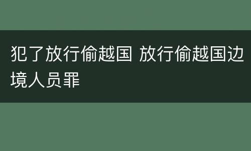 犯了放行偷越国 放行偷越国边境人员罪