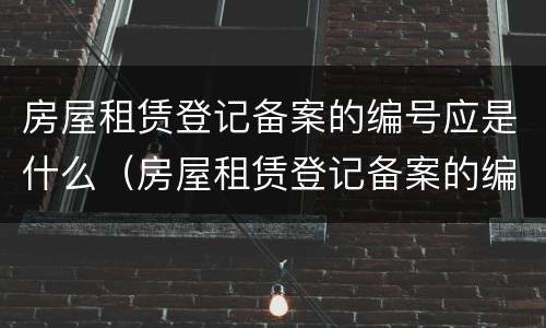 房屋租赁登记备案的编号应是什么（房屋租赁登记备案的编号应是什么意思）