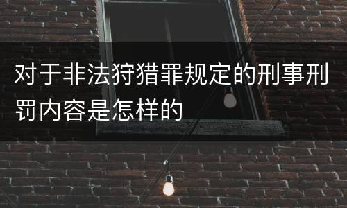 对于非法狩猎罪规定的刑事刑罚内容是怎样的