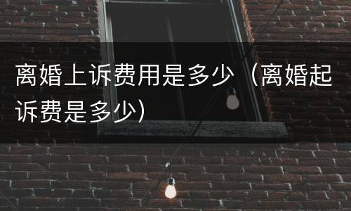离婚上诉费用是多少（离婚起诉费是多少）