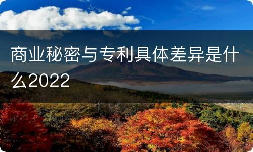 商业秘密与专利具体差异是什么2022