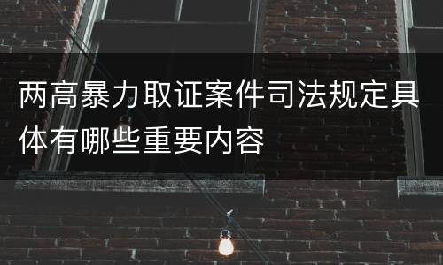 两高暴力取证案件司法规定具体有哪些重要内容