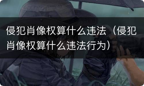 侵犯肖像权算什么违法（侵犯肖像权算什么违法行为）