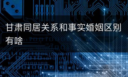 甘肃同居关系和事实婚姻区别有啥