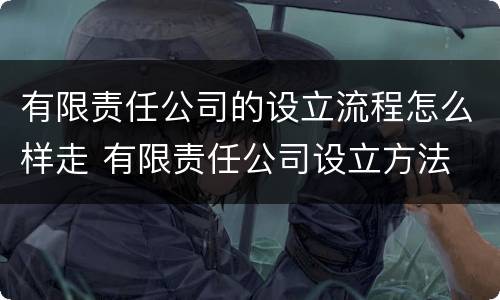 有限责任公司的设立流程怎么样走 有限责任公司设立方法