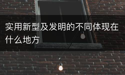 实用新型及发明的不同体现在什么地方