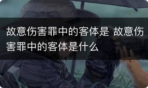 故意伤害罪中的客体是 故意伤害罪中的客体是什么