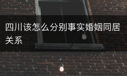 四川该怎么分别事实婚姻同居关系