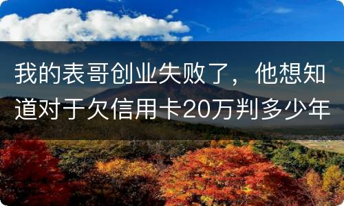 我的表哥创业失败了，他想知道对于欠信用卡20万判多少年