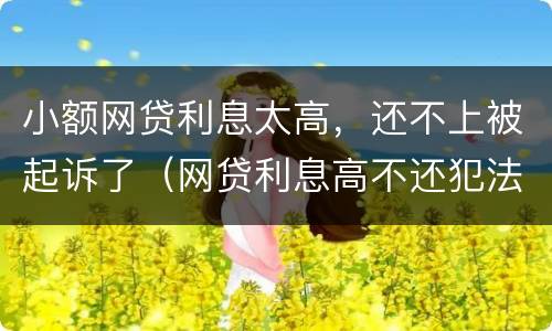 小额网贷利息太高，还不上被起诉了（网贷利息高不还犯法吗）