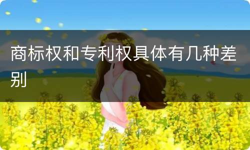 商标权和专利权具体有几种差别