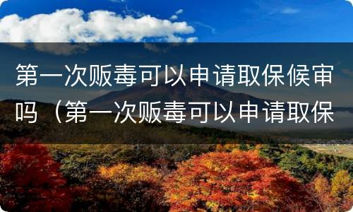 第一次贩毒可以申请取保候审吗（第一次贩毒可以申请取保候审吗多少钱）