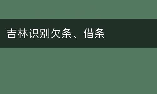 吉林识别欠条、借条