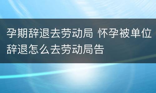 孕期辞退去劳动局 怀孕被单位辞退怎么去劳动局告