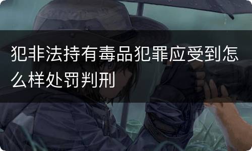 犯非法持有毒品犯罪应受到怎么样处罚判刑