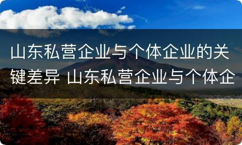 山东私营企业与个体企业的关键差异 山东私营企业与个体企业的关键差异是