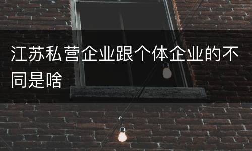 江苏私营企业跟个体企业的不同是啥