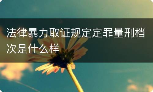 法律暴力取证规定定罪量刑档次是什么样