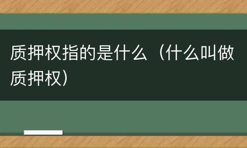 质押权指的是什么（什么叫做质押权）
