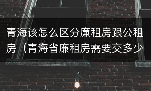 青海该怎么区分廉租房跟公租房（青海省廉租房需要交多少钱）