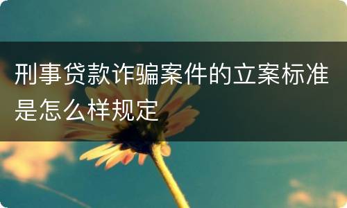 刑事贷款诈骗案件的立案标准是怎么样规定